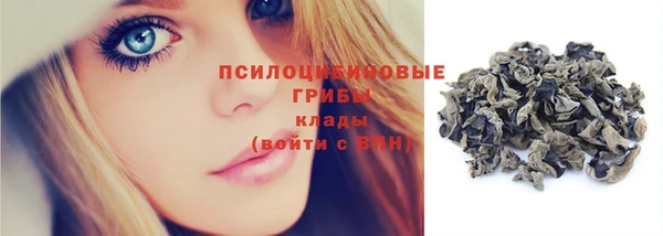 apvp Зеленокумск